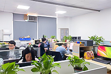 Company Environment